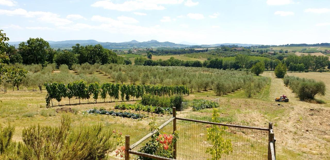 Casina Di Pacina Villa Abbadia di Montepulciano Luaran gambar